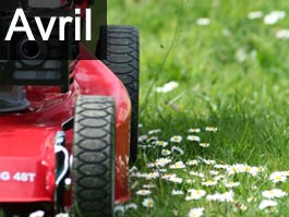 Travaux de jardinage en avril