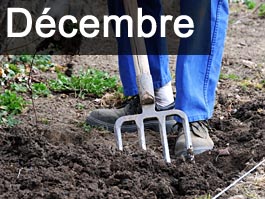 
Travaux de jardinage en décembre