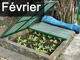 Travaux de jardinage en février