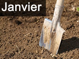 Travaux de jardinage en Janvier