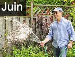 Travaux de jardinage en juin