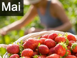 Travaux de jardinage en mai