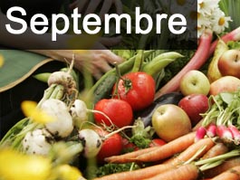 Travaux de jardinage en septembre