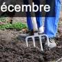 travaux-et-conseils-jardinage-en-decembre.jpg