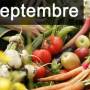 travaux-et-conseils-jardinage-en-septembre.jpg