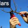 travaux-et-conseils-jardinage-en-mars.jpg