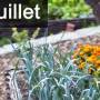 travaux-et-conseils-jardinage-en-juillet.jpg