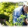 photo-calendrier-de-jardinage-conseils-et-travaux-jardin.jpg
