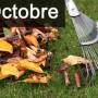 travaux-et-conseils-jardinage-en-octobre.jpg